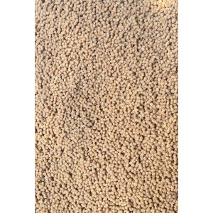 Pellet Gotowy w Wiaderku Orzech tygrysi- Feeder Bait