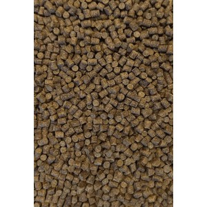 Pellet 6mm Seria Klubowa - Feeder Bait