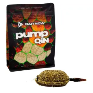 ZANĘTA METHOD FEEDER BAITNOW PUMPQIN 800g