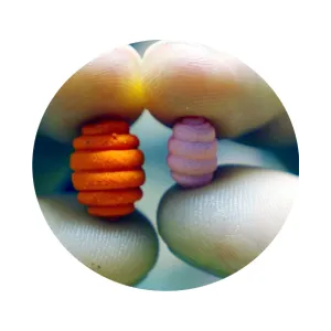 Osmo BIG Larwa DUAL - Furia